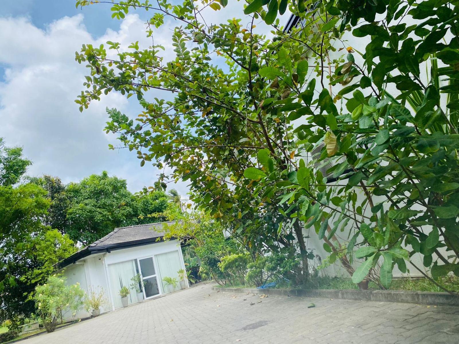 Premium Cottages B&B Kurunegala Exterior photo
