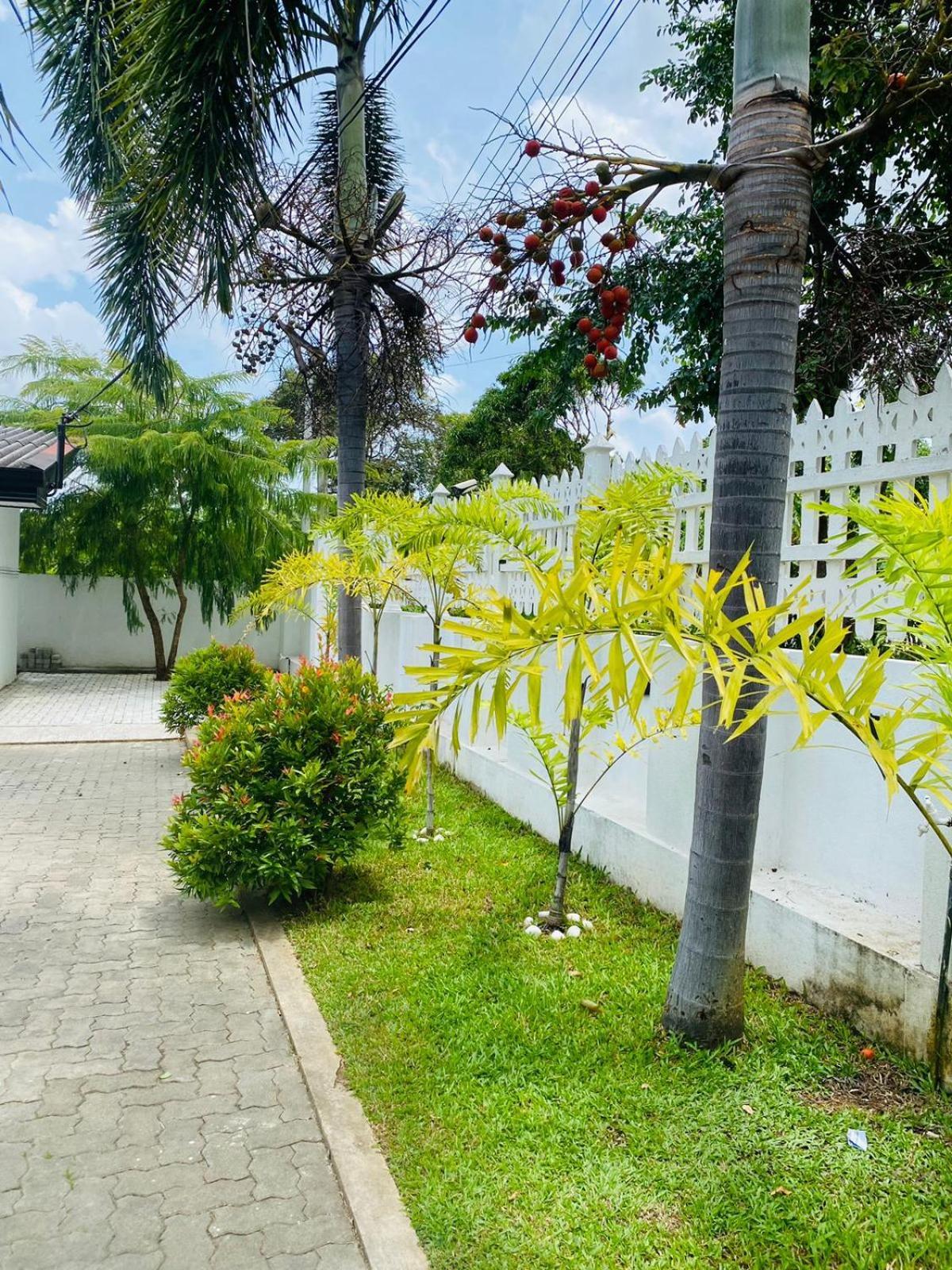 Premium Cottages B&B Kurunegala Exterior photo